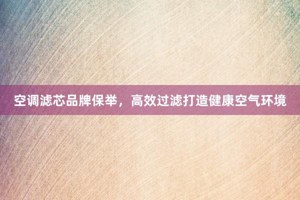 空调滤芯品牌保举，高效过滤打造健康空气环境